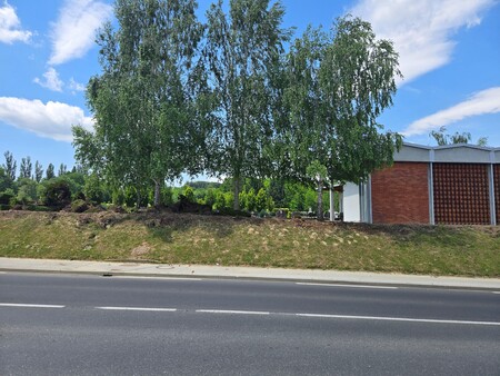 Zasaditev pokopališče Ljutomer2